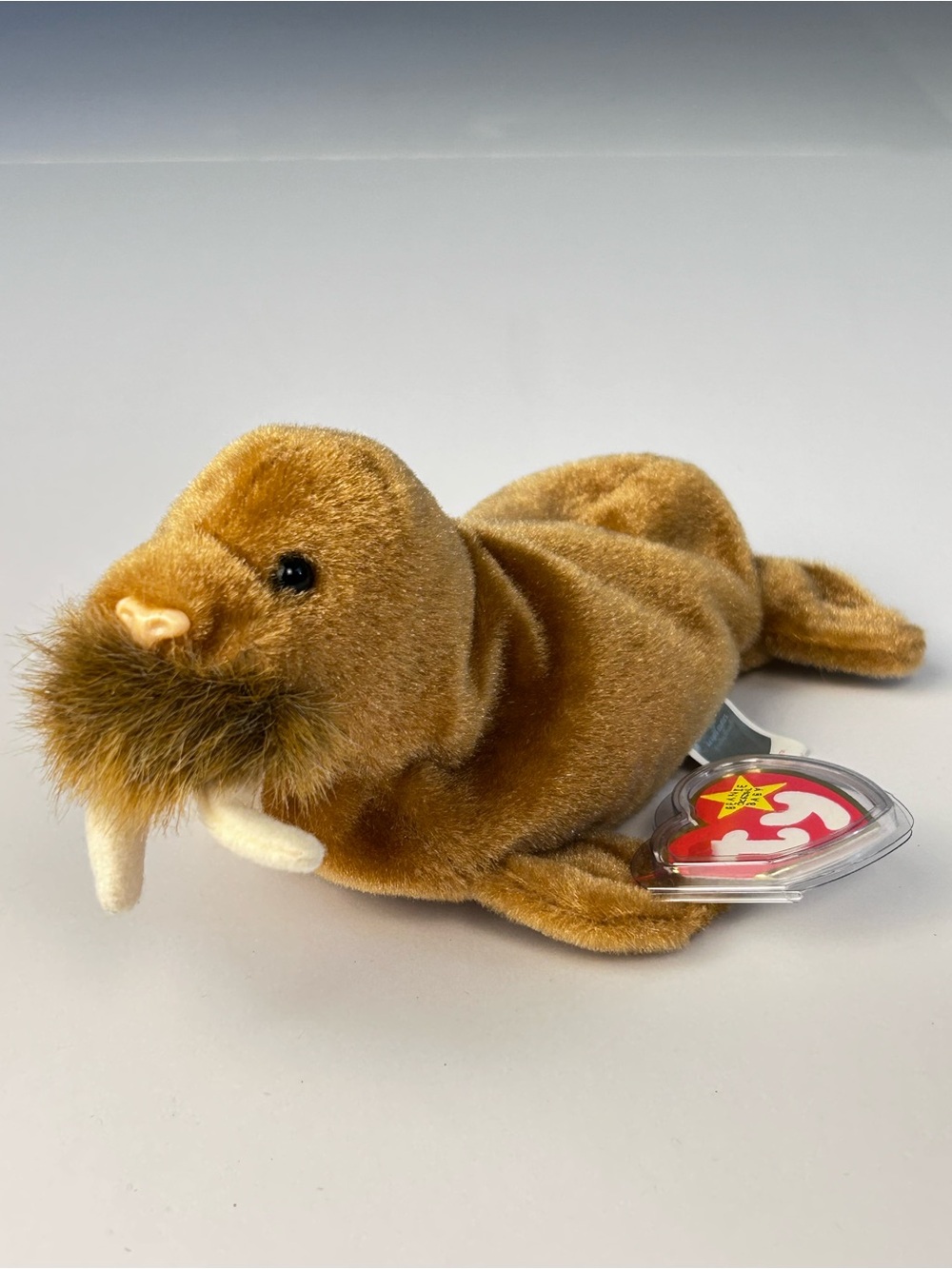 Ty Beanie Baby Paul the Walrus Brown Plush 1999 Original Hang Tag
